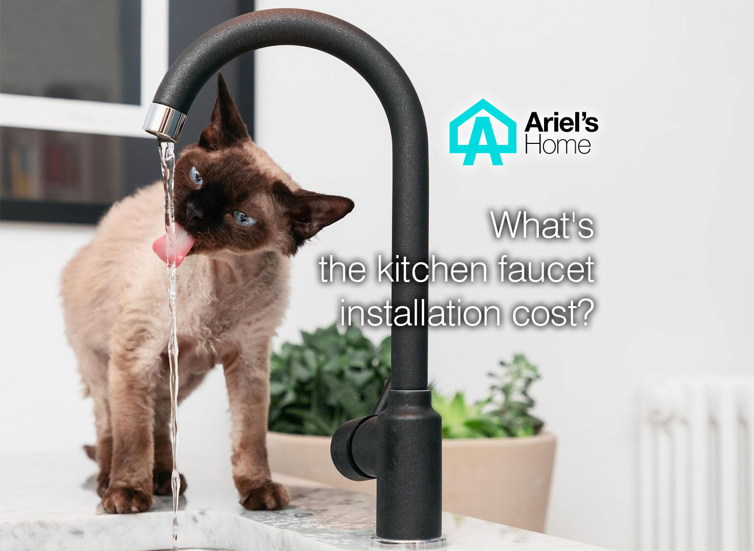 Whats The Kitchen Faucet Installation Cost 